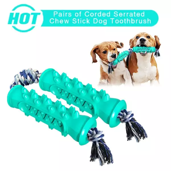 Pet Toy Manufacturer | Molar Toothbrush Stick for Dogs | OEM Wholesale