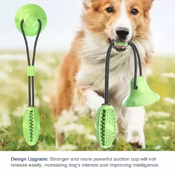 Suction Cup Dog Tug Toy for Aggressive Chewers: The Best Indoor Dog Toy for OEM & Wholesale Buyers